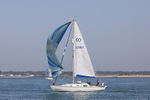 190629 NIMUE OF OPENHEATH CO3396Y 1Y3A0046