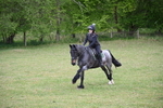 WJ6_1344