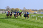 080426-Race 8-Keldeo-1430