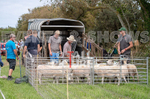Guernsey Agricultural Show 2021-78