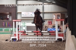 BPP_7554