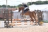 BPP_9692