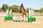SBM_006641