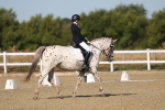 SBM_012669