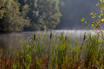 Summer Mist at Mallards Pike