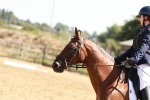 SBM_001734