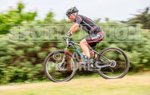 Summer Crit 2018_Round-3-14