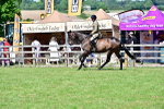 SBM_18231