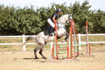 SBM_000366