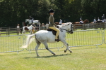 SBM_06737