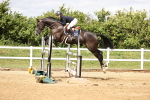 SBM_003401