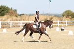 SBM_017380