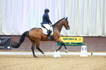 SBM_002950