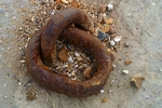 Pagham & Selsey - 34