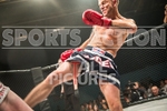 FULL BOAR CAGE FIGHTING 2012 portfolio