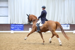 SBM_008980