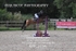 BPP_2194