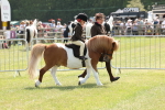 SBM_05221