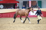SBM_17507