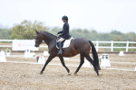 SBM_004701