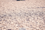 240505A-185410-07711