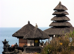 Bali portfolio