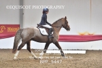 BPP_5447