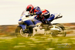 Motorsport portfolio