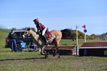 WJ5_7648