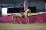 SBM_09276
