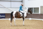 SBM_000972