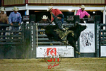 Yuma County Pro Rodeo portfolio