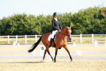 SBM_008353