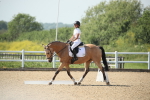 SBM_009969