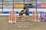 BPP_3873