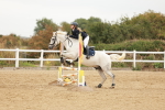 SBM_008467