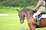 Saturday 26th - PC70 Dressage portfolio