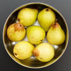 Close Up & Still Life portfolio