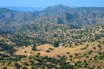 Sierra de Andújar, Andalucia, Spain