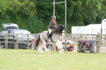 SBM_17350