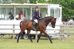 SBM_15993