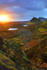 Rowan Tree, Quirang, Isle of Skye