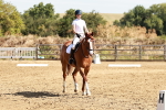 SBM_001336