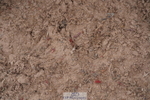 240713A-132246-00748