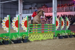 SBM_006634