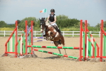 SBM_011613