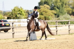 SBM_001429
