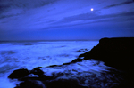 Ft. Bragg Headlands, CA