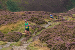 Barrow Fell-445