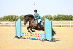 SBM_000674